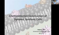 Thumbnail for Chemoselective construction of dynamic synthetic cells