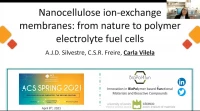 Thumbnail for Nanocellulose ion-exchange membranes: From nature to polymer electrolyte fuel cells