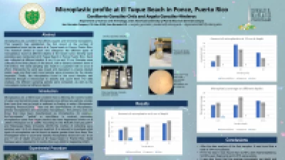 Thumbnail for Microplastic profile at el Tuque Beach in Ponce, Puerto Rico