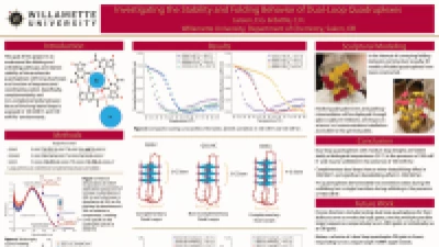 Thumbnail for Investigating the stability and folding behavior of dual-loop quadruplexes