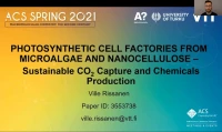 Thumbnail for Mechanically stable nanocellulose-based immobilization matrix for enhanced ethylene production with photosynthetic cell factories