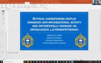 Thumbnail for Atypical carbapenems display enhanced anti-mycobacterial activity and differentially degrade on orthologous L,D-transpeptidases