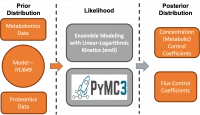 Thumbnail for Bayesian inference and metabolic control analysis for multi-omics data integration