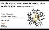 Thumbnail for Elucidating the role of intermediates in cluster synthesis using mass spectrometry