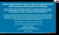Thumbnail for Smart liquid embolic agent for dynamic adjustments to brain aneurysm embolization and healing