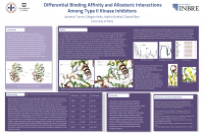 Thumbnail for Differential binding affinity and allosteric interactions among type II kinase inhibitors