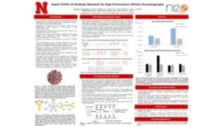 Thumbnail for COVID-19 antibody detection by a rapid sandwich assay with fluorescence detection