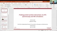 Thumbnail for Probing protein-protein interactions via SFG spectroscopy and MD simulations