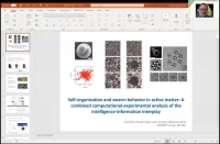 Thumbnail for Self-organization and swarm behavior in active matter: A combined computational-experimental analysis of the intelligence-information interplay