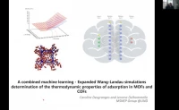 Thumbnail for A combined machine learning - Expanded Wang-Landau simulations determination of the thermodynamic properties of adsorption in MOFs and COFs
