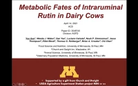 Thumbnail for Metabolic fates of intraruminal rutin in dairy cows
