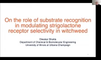 Thumbnail for On the role of substrate recognition in modulating strigolactone receptor selectivity in witchweed