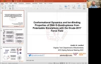 Thumbnail for Conformational dynamics and ion binding properties of DNA G-quadruplexes from polarizable simulations with the Drude-2017 force field