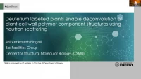 Thumbnail for Deuterium labelled plants enable deconvolution of plant cell wall biopolymer component structures using neutron scattering