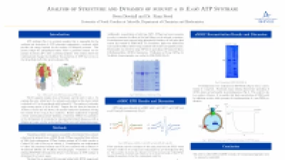 Thumbnail for Investigation of structural dynamics in E. coli ATP synthase using EPR spectroscopy
