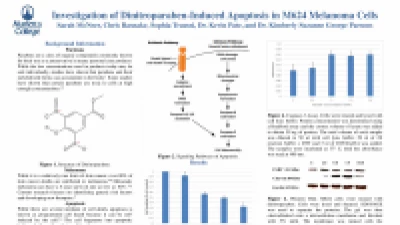 Thumbnail for Investigation of dinitroparaben-induced apoptotic death in M624 melanoma cells