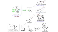 Thumbnail for Enantioselective aromatic amine Friedel−Crafts type C-H functionalization