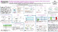 Thumbnail for Structure-based design of 2-(pyridin-2(1H)-one)indoles as antagonists of the toll-like receptors TLR7 and TLR8 for the treatment of autoimmune diseases