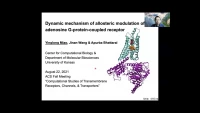 Thumbnail for Dynamic mechanism of allosteric modulation of adenosine A1 receptor