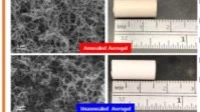 Thumbnail for Influence of thermal annealing on the morphology and toughness of poly(phenylene sulfide) aerogels