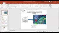 Thumbnail for Cyclodextrin-bimane supramolecular complexes: New applications of old structures