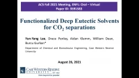 Thumbnail for Functionalized deep eutectic solvents for CO2 separations