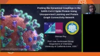 Thumbnail for Probing the dynamical couplings in the SARS-CoV-2 spike protein using unsupervised learning and protein graph connectivity network