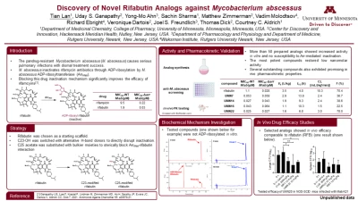 Thumbnail for Rationally designed rifabutin analogs overcoming intrinsic drug resistance are highly effective against Mycobacterium abscessus