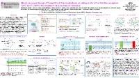 Thumbnail for Structure-based design of 2-(pyridin-2(1H)-one)indoles as antagonists of the toll-like receptors TLR7 and TLR8 for the treatment of autoimmune diseases