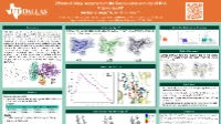 Thumbnail for Insights via QM/MM into the effects of distal mutations on the exonuclease activity of DNA polymerase III*