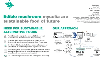 Thumbnail for Edible mushroom mycelia are sustainable food of future