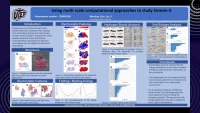 Thumbnail for Using multi-scale computational approaches to study kinesin-5