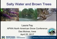 Thumbnail for Salty Water & Brown Trees - Current Strategies to Mitigate Impacts
