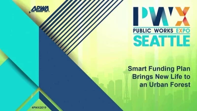 Thumbnail for Smart Funding Plan Brings New Life to an Urban Forest: San Francisco's Innovative Approach to Street Tree Maintenance