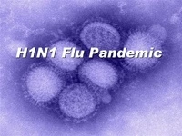 Thumbnail for H1N1 Virus - Public Works Prepares