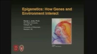 Thumbnail for The Effect of Nutrition on Epigenetic Status, Growth, and Health – Practical Information for the Clinician