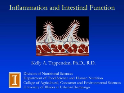 Thumbnail for Inflammation and Intestinal Function