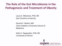 Thumbnail for The Role of the Gut Microbiome in the Pathogenesis and Treatment of Obesity