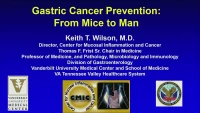 Thumbnail for Funderburg Symposium: Gastric Cancer Prevention