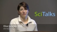 Thumbnail for Broadly Neutralizing Antibodies to HIV: History, Challenges and Hopes