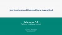 Thumbnail for Resolving bifurcation of T helper cell fates at single-cell level