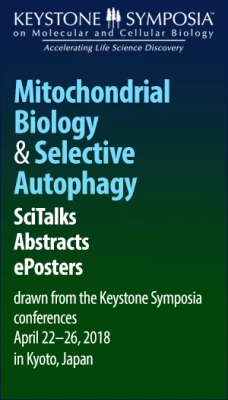 Thumbnail for Mitochondrial Biology & Selective Autophagy
