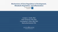 Thumbnail for Mechanisms of Gene Regulation in Development, Metabolic Regulation, and Inflammation