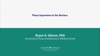Thumbnail for Phase Separation in the Nucleus