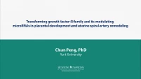 Thumbnail for Transforming Growth Factor-ß Family and Its Modulating microRNAs in Placental Development and Uterine Spiral Artery Remodeling