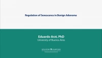 Thumbnail for Regulation of Senescence in Benign Adenoma