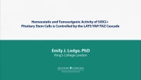 Thumbnail for Homeostatic and Tumourigenic Activity of SOX2+ Pituitary Stem Cells is Controlled by the LATS/YAP/TAZ Cascade