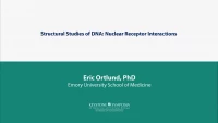 Thumbnail for Structural Studies of DNA: Nuclear Receptor Interactions