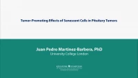 Thumbnail for Tumor-Promoting Effects of Senescent Cells in Pituitary Tumors