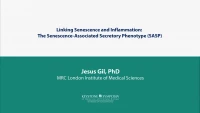 Thumbnail for Linking Senescence and Inflammation: The Senescence-Associated Secretory Phenotype (SASP)